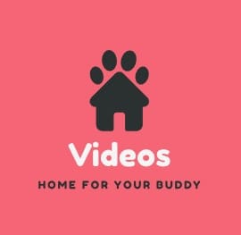 Video Bokep-indo Terbaru Live